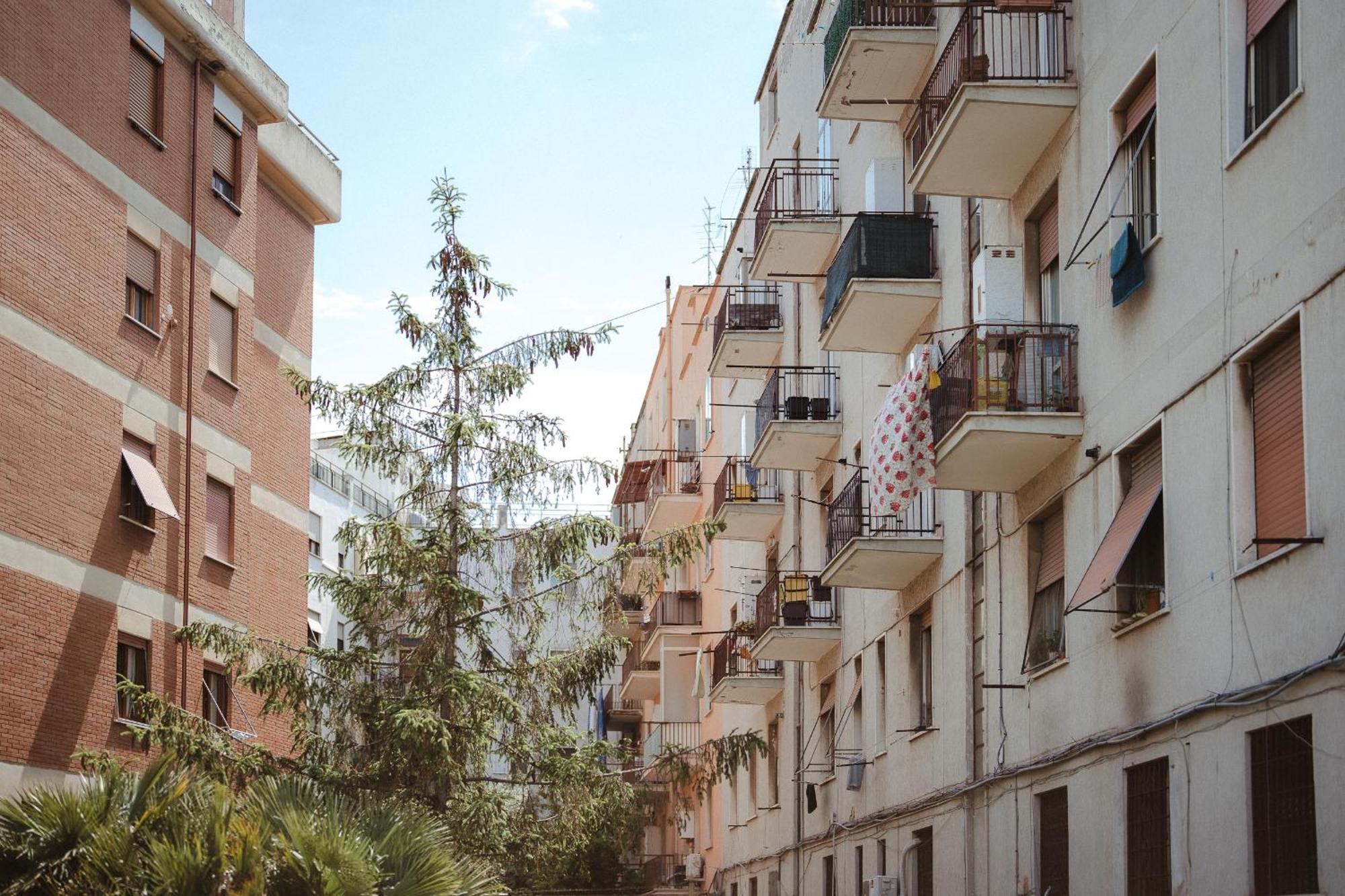 La Casetta Al Mercato Civitavecchia Oda fotoğraf